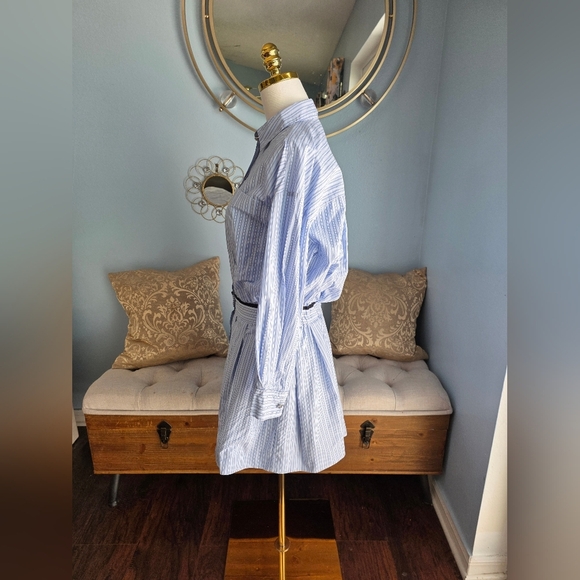 Maje Striped Shirt Mini Dress - Picture 3 of 9